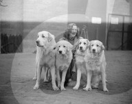 Glass plate mono negative