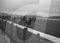 Mono Negative