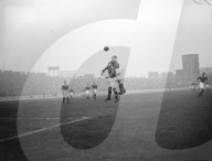 Mono Negative