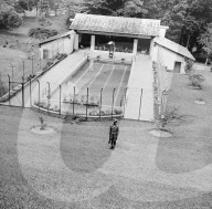 Glass plate mono negative