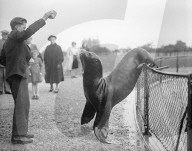 Glass plate mono negative