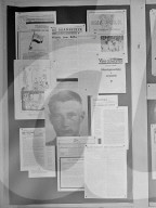 Glass plate mono negative