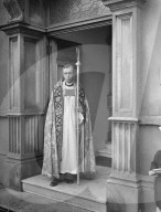 Glass plate mono negative