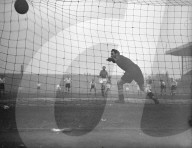 Mono Negative