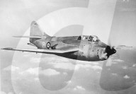 Mono Negative
