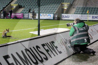 FEATURE - Fuchs verirrt sich ins Fussballstadion in Edinburgh