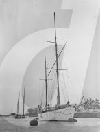 Mono Negative