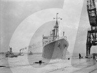 Mono Negative