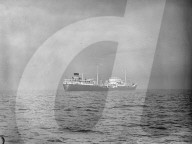 Mono Negative