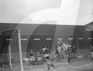 Mono Negative