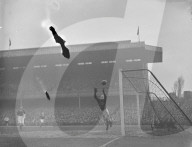 Mono Negative