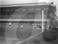 Mono Negative