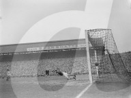 Mono Negative