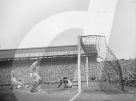 Mono Negative