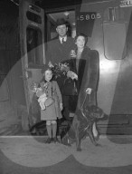 Mono Negative
