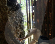FEATURE - Der britische Neandertaler: Student Luis Williamson lebt ein Jahr lang in einem selbstgebautem Steinzeithaus im Wald von Cotswold