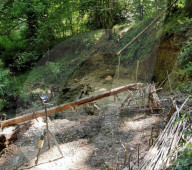 FEATURE - Der britische Neandertaler: Student Luis Williamson lebt ein Jahr lang in einem selbstgebautem Steinzeithaus im Wald von Cotswold