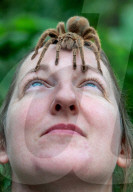 FEATURE - Noch mehr Zeit für ihre Schützlinge: Tierpfleger nutzen den Lockdown im Tropical Butterfly House Wildlife and Falconry Centre in Sheffield für mehr Umgang mit Kattas & Co