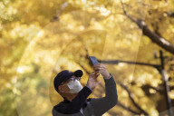 FEATURE - Herbstlich gelbe Ginko-Bäume in Tokio