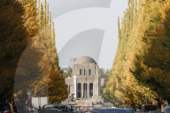 FEATURE - Herbstlich gelbe Ginko-Bäume in Tokio