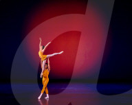 Performing arts archive