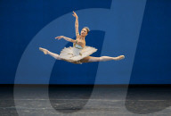 Performing arts archive