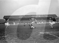 Mono Negative