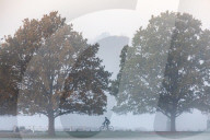 Walkers enjoy the frosty and misty sunrise this morning over Richmond Park in South West London as temperatures dropped to -2 overnight. 
