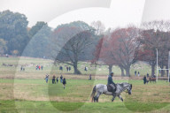 Members of the public go out for a Sunday walk and cycle in a packed Richmond Park in South West London 