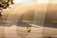 Walkers enjoy the frosty and misty sunrise this morning over Richmond Park in South West London as temperatures dropped to -2 overnight. 