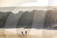 Walkers enjoy the frosty and misty sunrise this morning over Richmond Park in South West London as temperatures dropped to -2 overnight. 