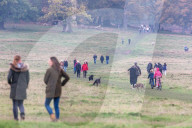 Members of the public go out for a Sunday walk and cycle in a packed Richmond Park in South West London 