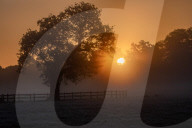 Walkers enjoy the frosty and misty sunrise this morning over Richmond Park in South West London as temperatures dropped to -2 overnight. 