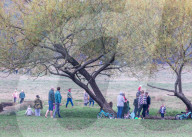 Members of the public go out for a Sunday walk and cycle in a packed Richmond Park in South West London 