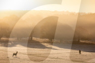 Walkers enjoy the frosty and misty sunrise this morning over Richmond Park in South West London as temperatures dropped to -2 overnight. 