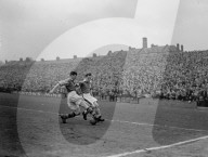 Mono Negative