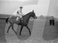 Mono Negative