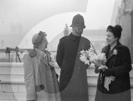 Mono Negative