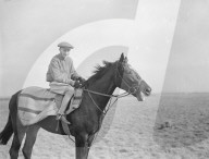 Mono Negative