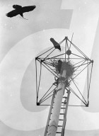 Mono Negative