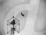 Mono Negative