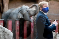 ROYALS - Kšnig Willem Alexander stattet dem Zoo Blijdorp in Rotterdam einen Besuch ab