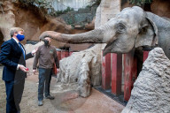 ROYALS - Kšnig Willem Alexander stattet dem Zoo Blijdorp in Rotterdam einen Besuch ab
