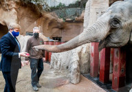 ROYALS - Kšnig Willem Alexander stattet dem Zoo Blijdorp in Rotterdam einen Besuch ab