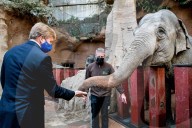 ROYALS - Kšnig Willem Alexander stattet dem Zoo Blijdorp in Rotterdam einen Besuch ab