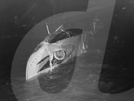 Mono Negative
