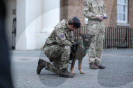 Hero Military Working Dog awarded animals Victoria Cross