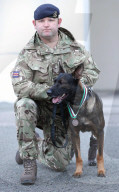 Hero Military Working Dog awarded animals Victoria Cross