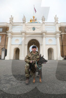 Hero Military Working Dog awarded animals Victoria Cross