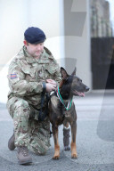 Hero Military Working Dog awarded animals Victoria Cross